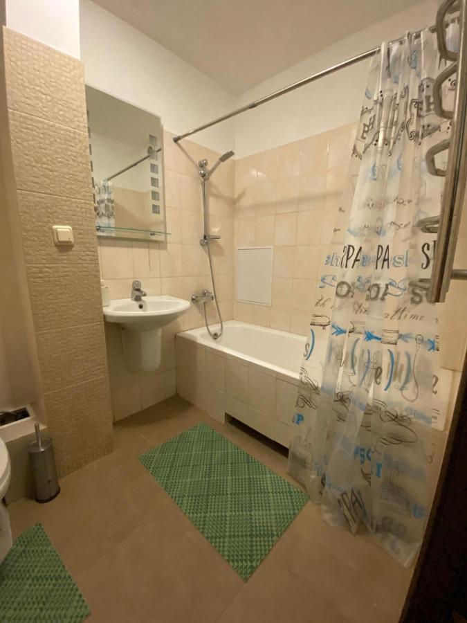 Next To Metro Station Pechersk Apartment